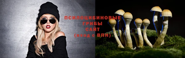 прущий лед Алексеевка